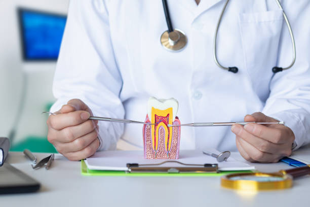 Best Weekend Emergency Dentist in Delphi, IN